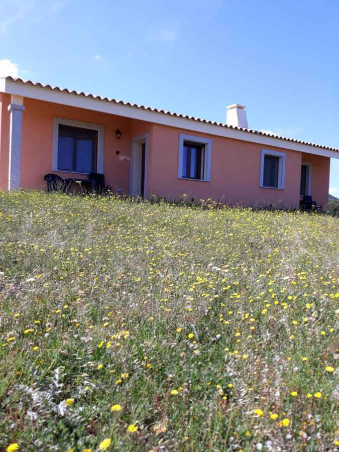Agriturismo Gli Olivastri, Appartamento La Rosa Dei Venti Con Piscina E Solarium , Vista Mare ,Climatizzatore ,Wifi Aglientu Zewnętrze zdjęcie