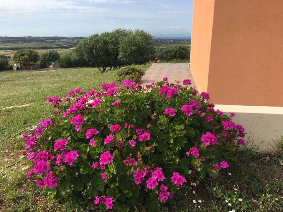 Agriturismo Gli Olivastri, Appartamento La Rosa Dei Venti Con Piscina E Solarium , Vista Mare ,Climatizzatore ,Wifi Aglientu Zewnętrze zdjęcie