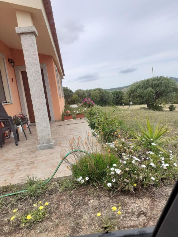 Agriturismo Gli Olivastri, Appartamento La Rosa Dei Venti Con Piscina E Solarium , Vista Mare ,Climatizzatore ,Wifi Aglientu Zewnętrze zdjęcie